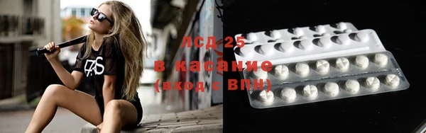 прущие грибы Алексеевка
