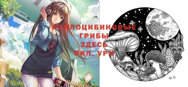 прущие грибы Алексеевка