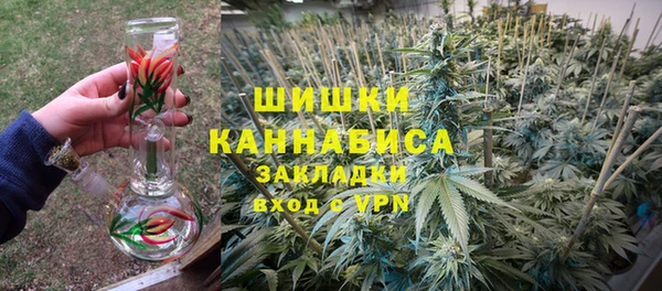 тгк Алексин