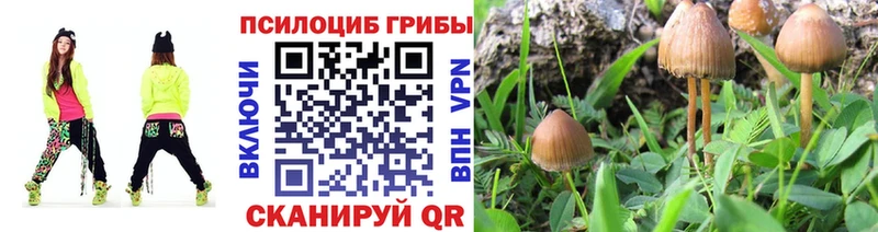 Псилоцибиновые грибы GOLDEN TEACHER  Приволжский 
